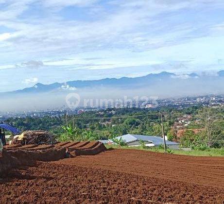 Tnh Cocok Utk Villa ,cafe ,usaha di Punclut Ciumbuleuit 1