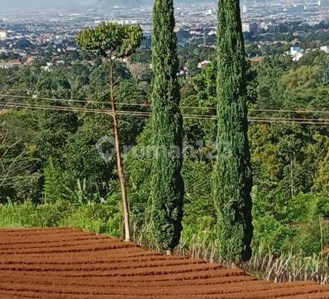 Tnh Cocok Utk Villa ,cafe ,usaha di Punclut Ciumbuleuit 2