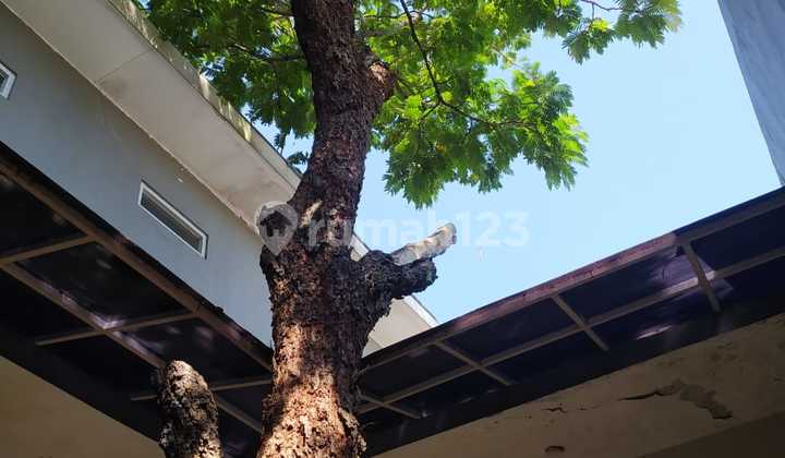 Well-maintained house, ready to occupy. Jupiter Street, Metro Housing. 2
