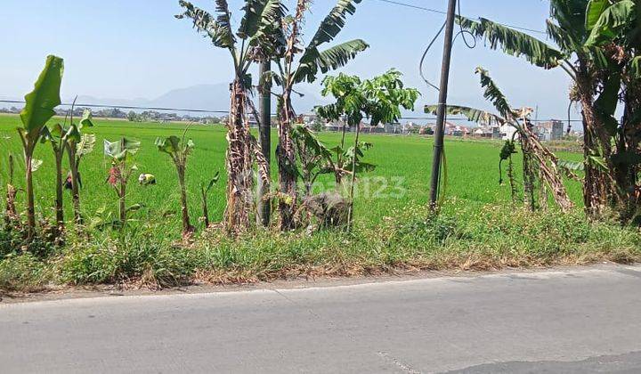 Tnh Luas Utk Perumahan, Pabrik ,gudang,di Selokan Jeruk 2