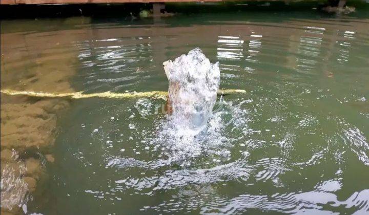 Rmh Villa Ada Kolam Ikan, Sumber Mata Air di Pasir Impun 1