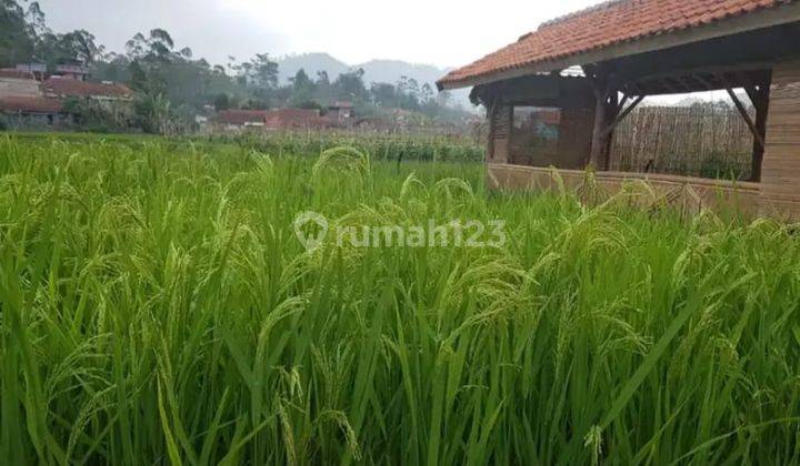 Rmh Villa Luas Ada Kolam, Kebun ,di Tonggoh Ciwidey 2