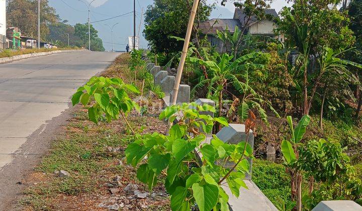 Tanah & Kolam Ikan Jl .ibrahim Adjie Cipanas Tarogong Garut 1