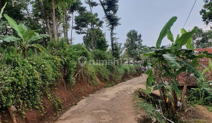 Tnh Luas Cocok Utk Perumahan,villa di Desa Mekarmanik 2