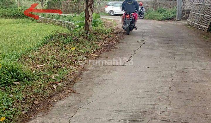 Tanah ,Sawah Produktif JL. DsTambak Sari Situ Cangkuang  Leles Garut 1