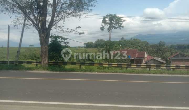 Tnh Cocok Utk Gudang,kantor, Usaha Jl. Raya Limbangan Garut Tnh Cocok Utk Gudang,kantor, Usaha Jl. Raya Limbangan Garut