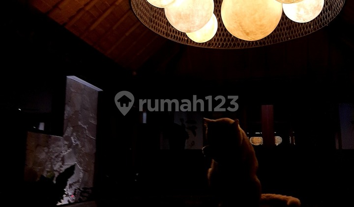 For Sale Luxury House Within a Cluster, Bali Resort Style, Shady and Comfortable, Corner Plot 2