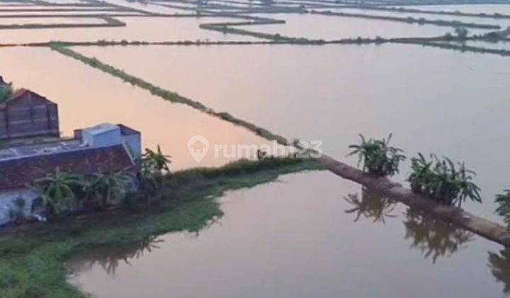 Dijual Tanah Raya Banjarsari Nol Jalan Raya Provinsi Cerme Gresik 2