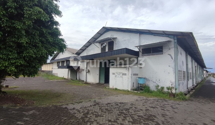 Disewakan Gudang Tambak Sawah Waru Sidoarjo