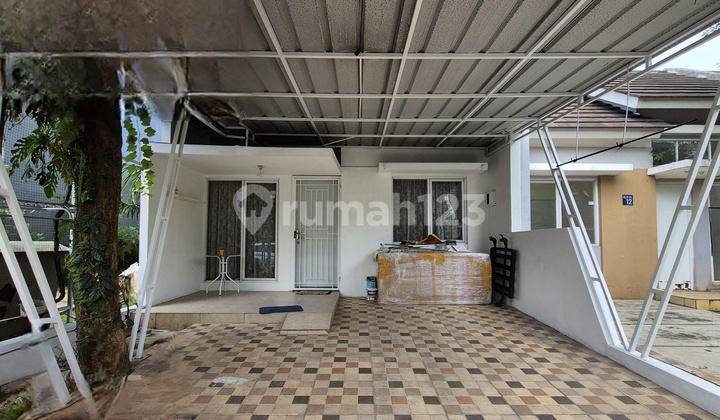 Serpong Lagoon C. Flamingo