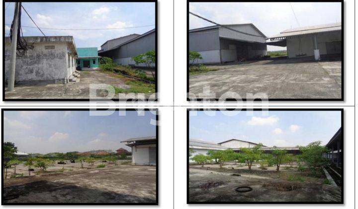 Dijual Murah Pabrik 0 Jalan Provinsi Lamongan + Mesin 1