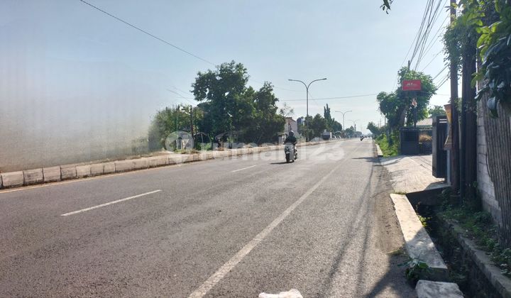 Dijual Tanah Komersial Jalan Raya Nasional Mojoagung Jombang Di Jl. Raya Gambiran No. 146, Gambiran, Mojoagung, Jombang, Jawa Timur, Indonesia, 61482, Mojoagung Dijual Tanah Komersial Jalan Raya Nasional Mojoagung Jombang Di Jl. Raya Gambiran No. 146, Gambiran, Mojoagung, Jombang, Jawa Timur, Indonesia, 61482, Mojoagung