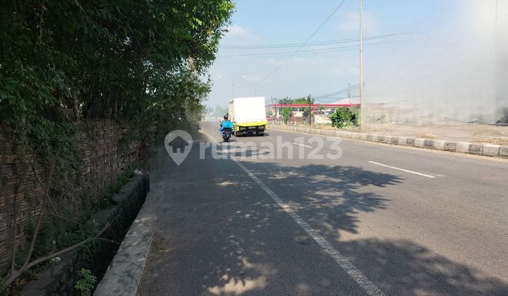 Dijual Tanah Komersial Raya Gambiran Mojoagung Jombang Dijual Tanah Komersial Raya Gambiran Mojoagung Jombang