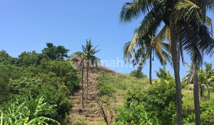 Tanah Bisnis Hotel Dan Cafe di Pinggir Tebing Nusa Penida Bali 2