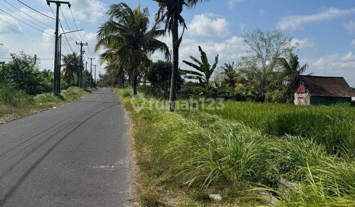 Tanah Zona Kuning di Sukawati Gianyar 1