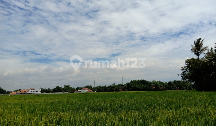 Tanah berbetuk sawah cocok untuk investasi di area ciparay kabupaten Bandung  5