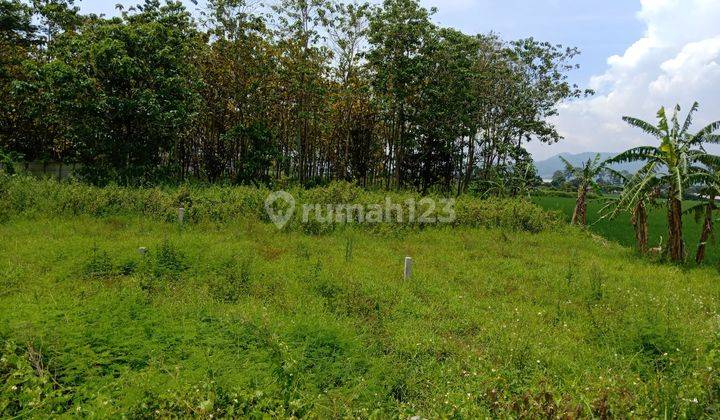Tanah di Bojong sari, buah batu lt 99 m² harga 3,5 jt/m². Cluster one gate system  2