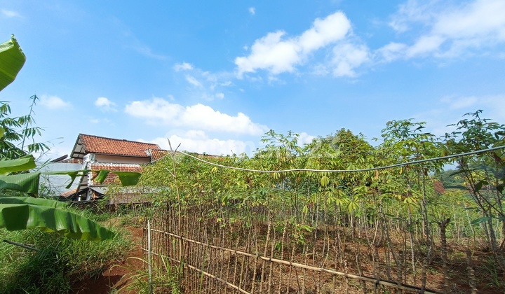 Tanah Padasuka 3 Hektar Cocok Perumahan Dekat Saung Angklung Udjo