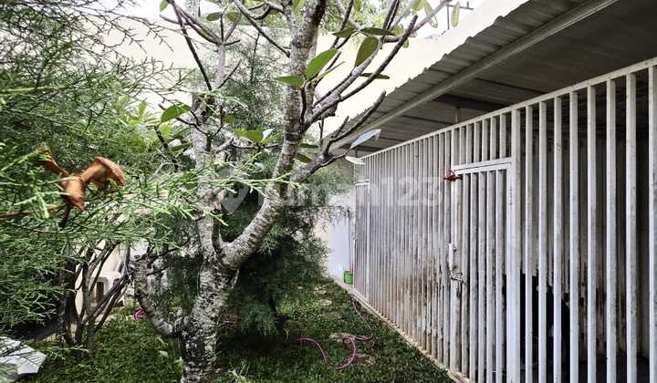 Rumah Cantik Taman Pesona Mediteran Termurah Dekat Tol Pasteur 2