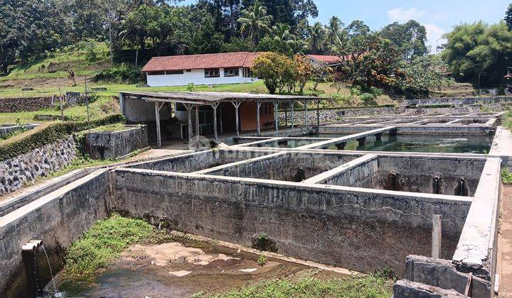 Rumah Villa Murah Di Subang Di Sagalaherang Subang Ada Helipad 2