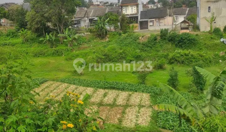 KBB Land in Padaasih Suitable for Residential Near Pancanaka Orchid Complex