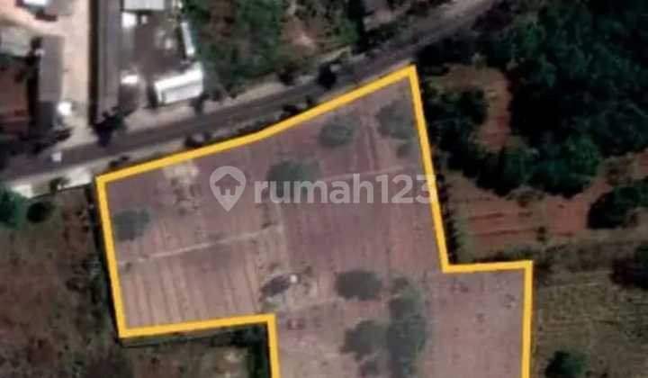 Tanah Murah Nol Jalan Daendles Lamongan Arah Tuban  1