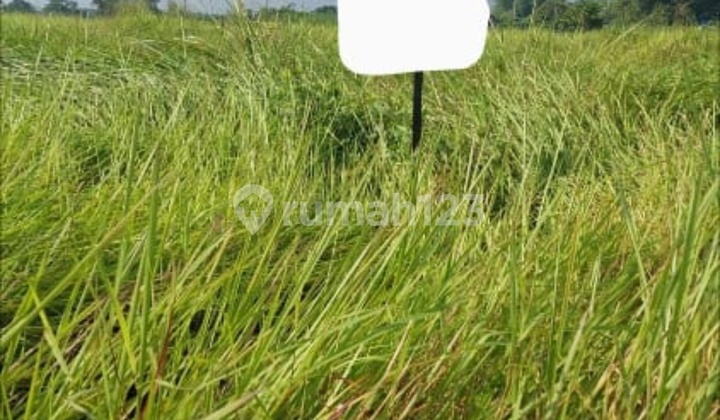 Jual Kavling Tanah Murah Di Greenland Menganti 