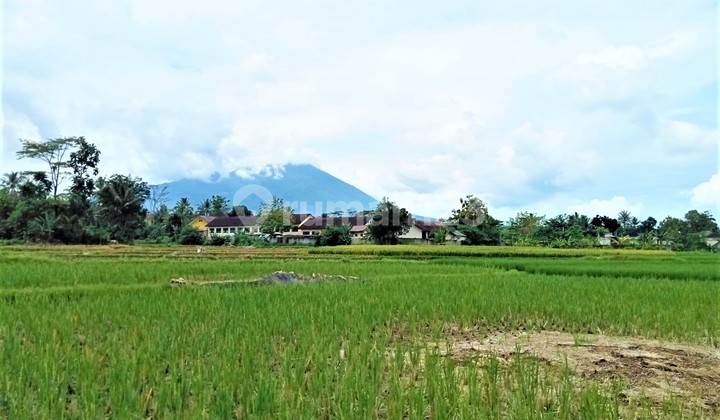 Tanah 9 Hektar Pinggir Jalan Raya Serang Banten View Gunungkarang 6