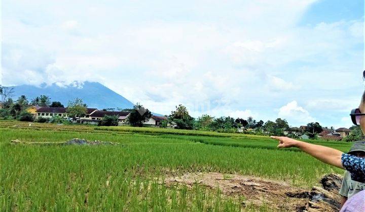 Tanah 9 Hektar Pinggir Jalan Raya Serang Banten View Gunungkarang 7