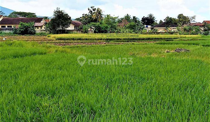 Tanah 9 Hektar Pinggir Jalan Raya Serang Banten View Gunungkarang 17