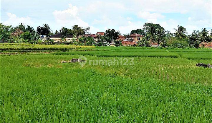 Tanah 9 Hektar Pinggir Jalan Raya Serang Banten View Gunungkarang 18