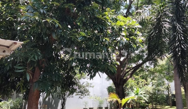 Kavling Foresta Cluster Fresco Aria BSD Hook