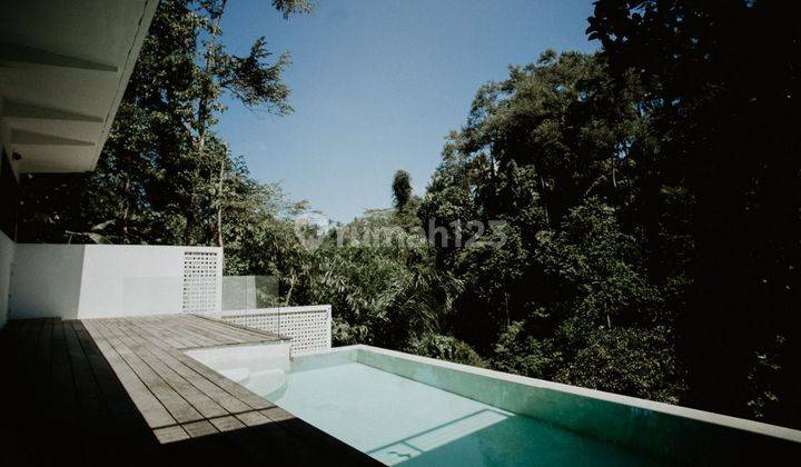 Villa Pribadi full View Jungle di Ubud Gianyar Bali  2