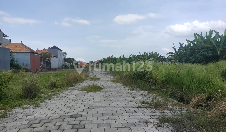 Tanah 300m2 Aspek Perumahan di Dalung Kuta Utara Badung  4