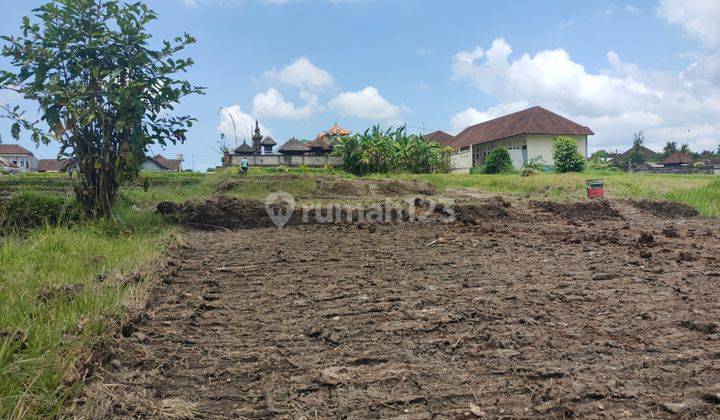 Tanah Perumahaan di Saing Dekat Puspem Badung Bali  8