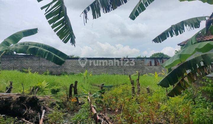 Tanah  Kosong 200m2 di Ayani Denpasar jln 6 mtr 6