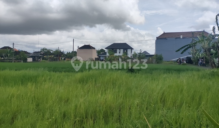 Tanah 150m2 Lingk villa di Buduk dekat Tumbak Bayuh Pererenan  8