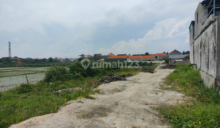 Tanah 218m2 Lingk Villa dekat gn Salak DENPASAR Barat  6