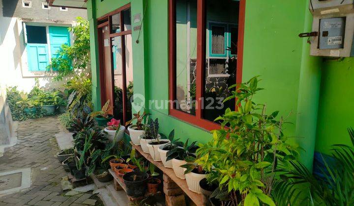 Rumah cocok utk guest house di jalan Ireda yogya 1