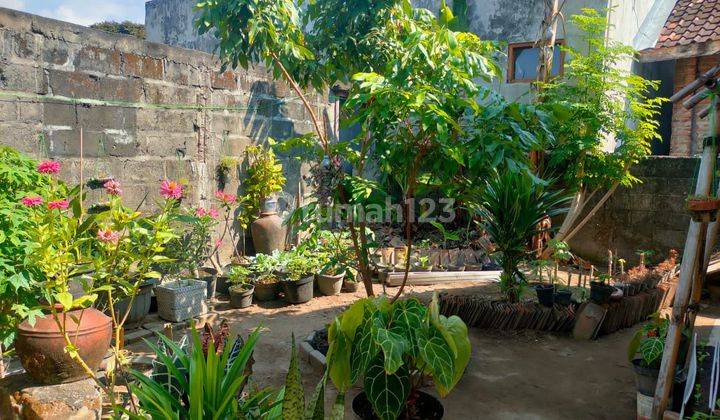 Rumah cocok utk guest house di jalan Ireda yogya 2