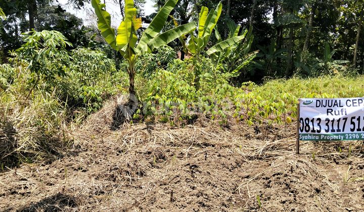 Land Suitable For Villa Or Workshop In Bogor Land Suitable For Villa Or Workshop In Bogor