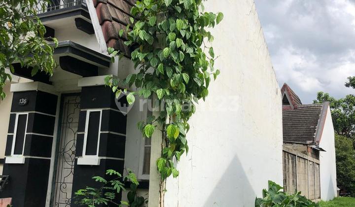 Rumah Murah Banget Posisi Bagus Hoek Tengah Cocok Utk Jualbeli