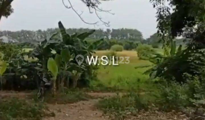 Tanah Darat di Teluk Jambe, Karawang Barat 4
