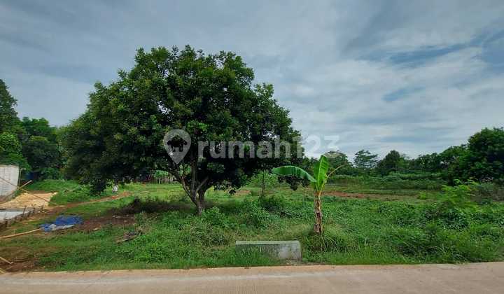 Tanah Pinggir Jalan Raya Kp. Kubang Cileungsi 1
