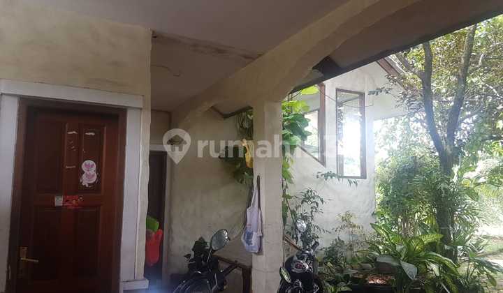 Rumah Cantik Asri Lahan Luas Cinere Depok