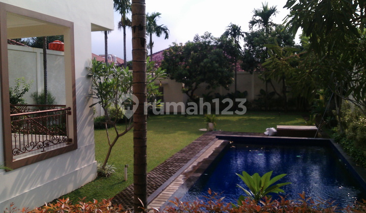 A Luxurious House with Nice backyard and pool in Kemang A Luxurious House with Nice backyard and pool in Kemang