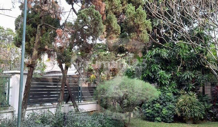 Rumah Cilandak Tengah Pasar Minggu