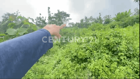 Tanah Di Kota Bandar Lampung View Kota Laut Pegunungan 2