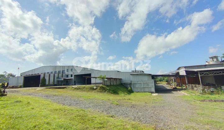 FOR SALE QUICKLY: 4.2HA STRATEGIC WOOD FACTORY IN JEMBER FOR SALE QUICKLY: 4.2HA STRATEGIC WOOD FACTORY IN JEMBER