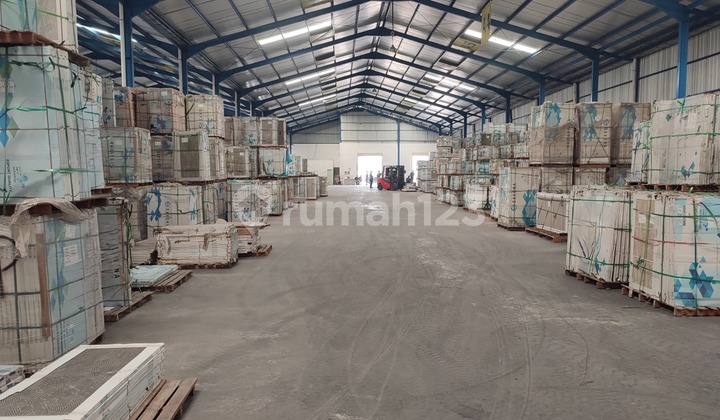 Cikupa Warehouse 5000 Sq Mtr, 3000 Sq Mtr Available for Rent. Price Includes VAT. Cikupa Warehouse 5000 Sq Mtr, 3000 Sq Mtr Available for Rent. Price Includes VAT.